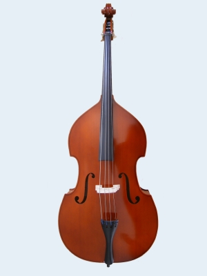 Photo of Flame Lily Double Bass