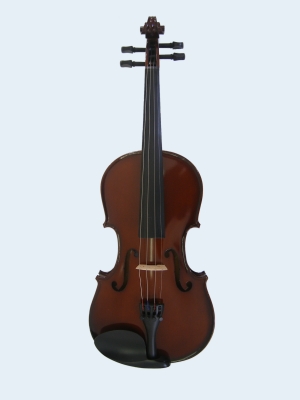 Photo of Flame Lily Violin