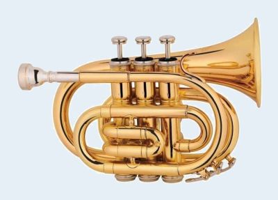 Photo of Talent Pocket Trumpet